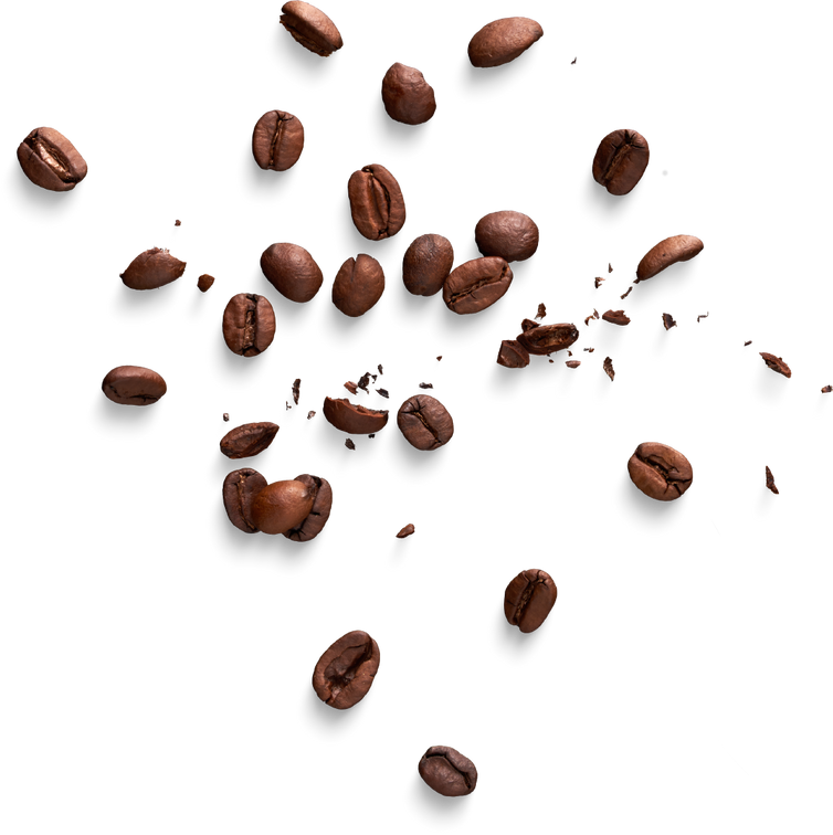 coffee beans scattered on a white background